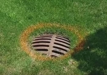 Macomb Twp Water & Sewer - Recommends French Drain