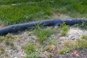 Yard drainage buried too shallow