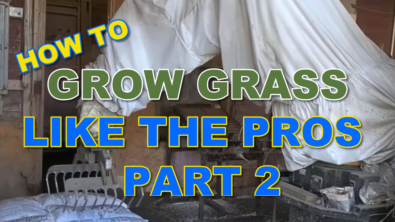 How to Grow Grass Like the Pros Part 2