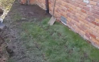 Growing Grass Over a French Drain