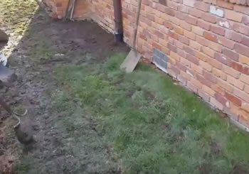 Growing Grass Over a French Drain