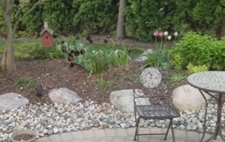 New Baltimore Hybrid French Drain Installation