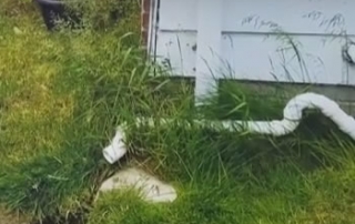 Sterling Heights French Drain Sump Pump