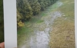 West Bloomfield French Drain System Installation