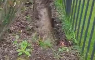 DIY French Drains - Macomb Twp., MI