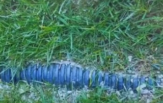 DIY French Drain Depth - Michigan