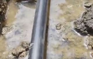 French drain along property line - Oakland Twp., MI