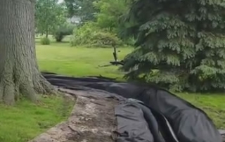 French Drain Installation Around Large Tree - Oakland Twp., MI