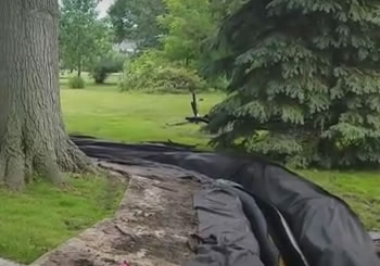 French Drain Installation Around Large Tree - Oakland Twp., MI