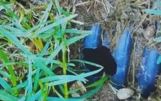 DIY French Drain Pipe - Macomb Twp., MI