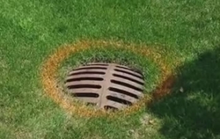 Macomb Twp Water & Sewer - Recommends French Drain