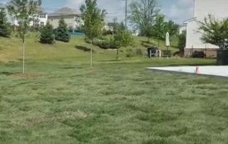 New Sod Before French Drain - Lake Orion, MI