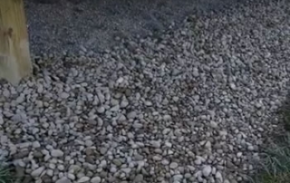 Open French Drain - Macomb County, MI