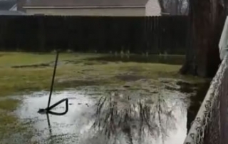 backyard-outdoor-sump-pump-nstallation-harrison-twp-mi