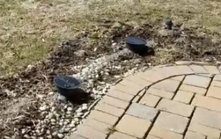 Failed French Drain - Surface Drains, Michigan