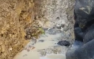 Back Yard Drainage System in Michigan to Reduce Soil Saturation