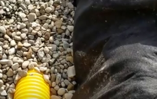 Do French Drains Really Work When They're Built Right