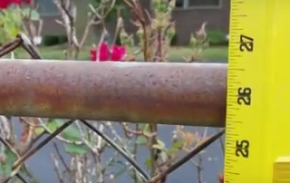 French Drain, Underground Downspouts and Backyard Sump Pump Needed