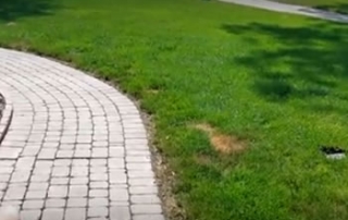 Avoid Problems Running Downspouts Underground