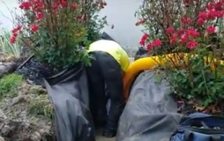 Filter Wrapped Corrugated Pipe - Failed French Drain