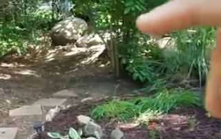 Evaluating Property for Yard Drainage System