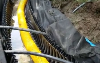 How to build a French drain system around a tree