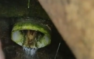 How To Improve Your Property With a French Drain Catch Basin