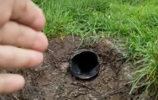 Tree Roots Lift Grade and Damage French Drain
