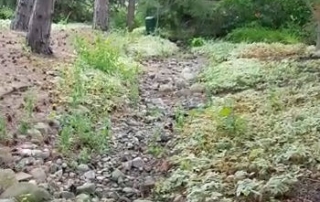 French Drain Prevents Dry Creek Bed Failure