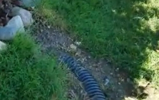 How Deep Should Downspouts Be?