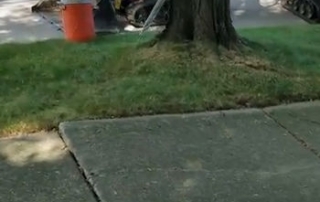 Sump Pump and French Drain Installers - Michigan