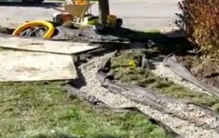 Freedom Drain / French Drain System
