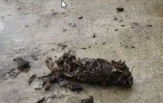 Sump Pump Plugged With Bark Mulch