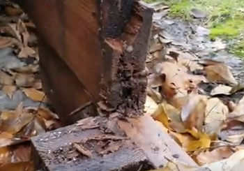 Underground Downspouts Prevent Property Damage