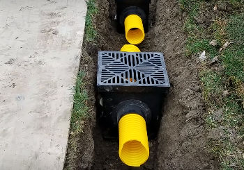 Yard Drainage Failures 