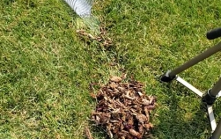 Why is corrugated pipe better than PVC pipe for Yard Drainage?