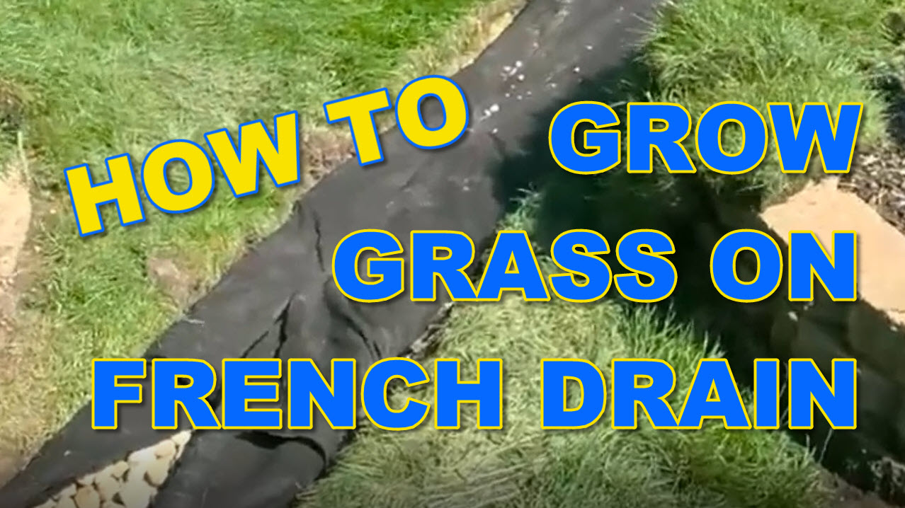 How to Grow Grass on French Drain