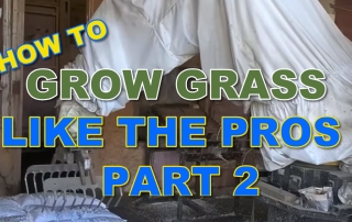 How to Grow Grass Like the Pros Part 2
