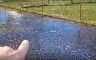 Remove Yard Water St. Clair Shores