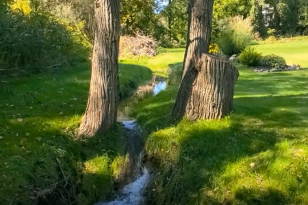 Dam in Stream causing Yard Drainage Problems