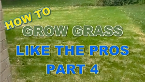 How to Grow Grass Like the Pros - Part 4