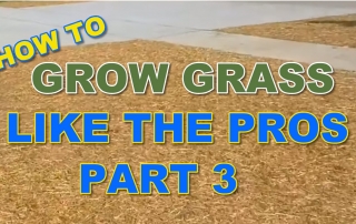 How to Grow Grass - Straw