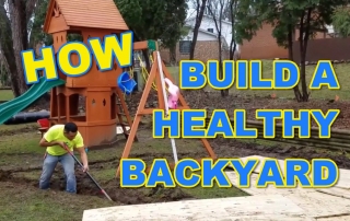 Backyard Yard Drainage Solutions