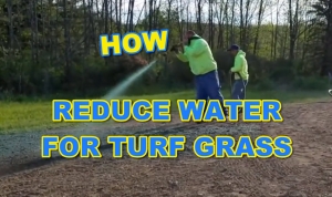 How to Reduce Water for Turf Grass