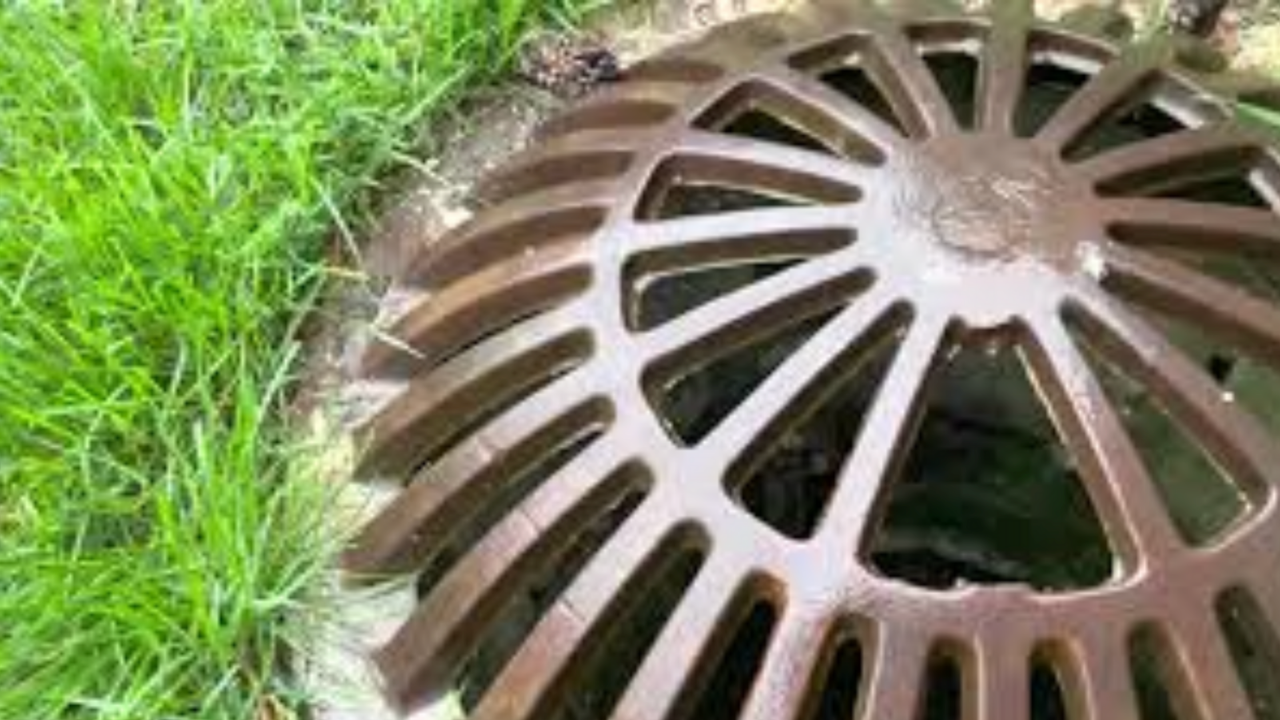 Yard Drainage in Rochester Hills, MI ( Homeowner Shares Drain System Results)