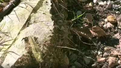 French Drain Fabric 101 - What to Buy and How it Works